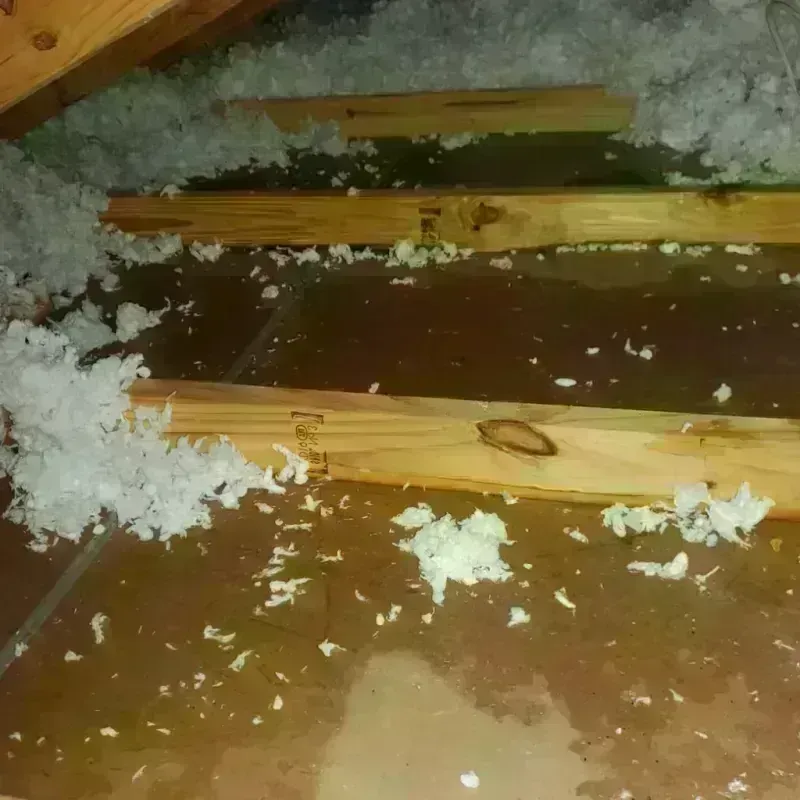 Attic Water Damage in Hutchinson County, SD