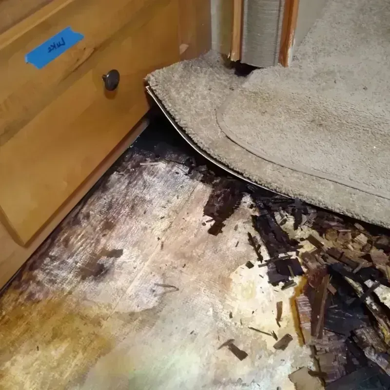 Wood Floor Water Damage in Hutchinson County, SD